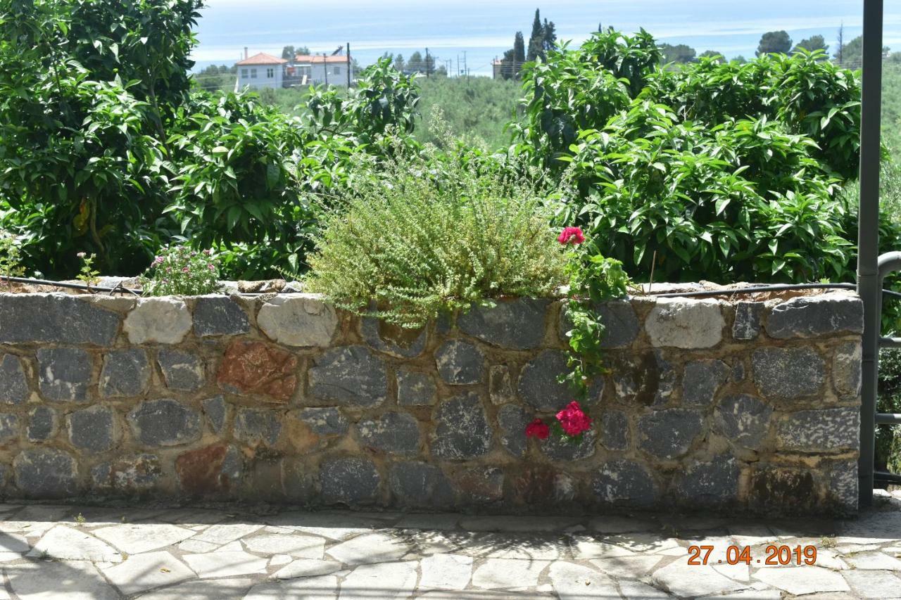 Ouranias Studios Kardhamili Exterior foto